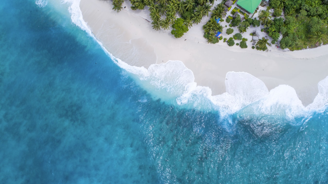 Tropical beach